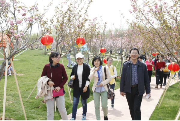 我院工会组织女教职工开展健步赏樱活动